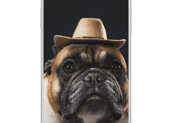 3 Reasons Why a Custom Phone Case Is a Great Gift Idea