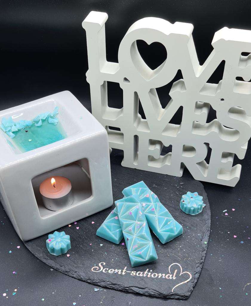 Scent Sational Waxmelts Celebrates First Anniversary Of Providing Soy Wax Melts And Wax Crumbles