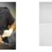 When Is A Hair Transplant The Right Solution For You? Which is the Best Clinic in Belgium?