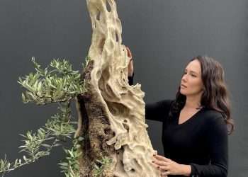 Interview with famous Environmental Artist and scientist Dr.Kasia Sterriker-min