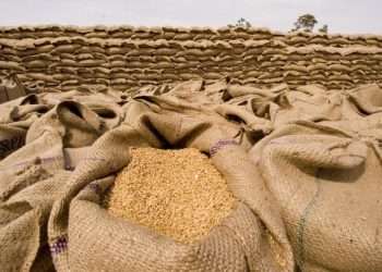 Millions of Dollars Generated by the Export of Wheat