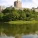 Bones of woolly mammoth from 10,000 years ago found under Pembroke Castle