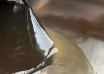 Cleaning whizz shares 7p hack that removes grease & grime in the air fryer – and even Ninja agrees it’s the best method