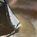 Cleaning whizz shares 7p hack that removes grease & grime in the air fryer – and even Ninja agrees it’s the best method