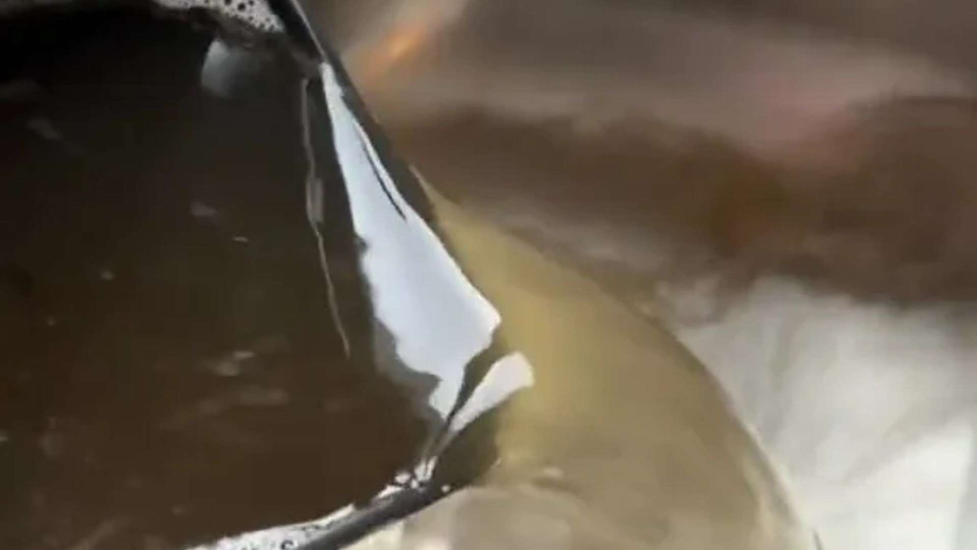 Cleaning whizz shares 7p hack that removes grease & grime in the air fryer – and even Ninja agrees it’s the best method