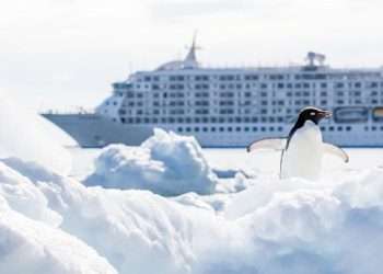 Want a cruise with a conscience? These tours pair holidaymakers with scientists to help the planet