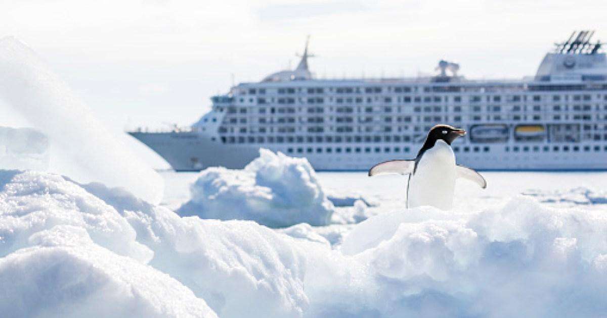 Want a cruise with a conscience? These tours pair holidaymakers with scientists to help the planet