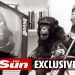 Zoo monkeys tune into Amazon-style media system to see if they prefer music or videos