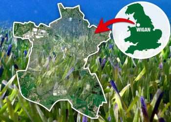 World’s biggest plant discovered under the sea in Australia is same size as WIGAN