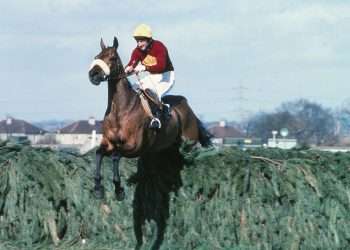 Huge collection of hair from racehorses including Red Rum and Desert Orchid goes on sale for eye-watering price