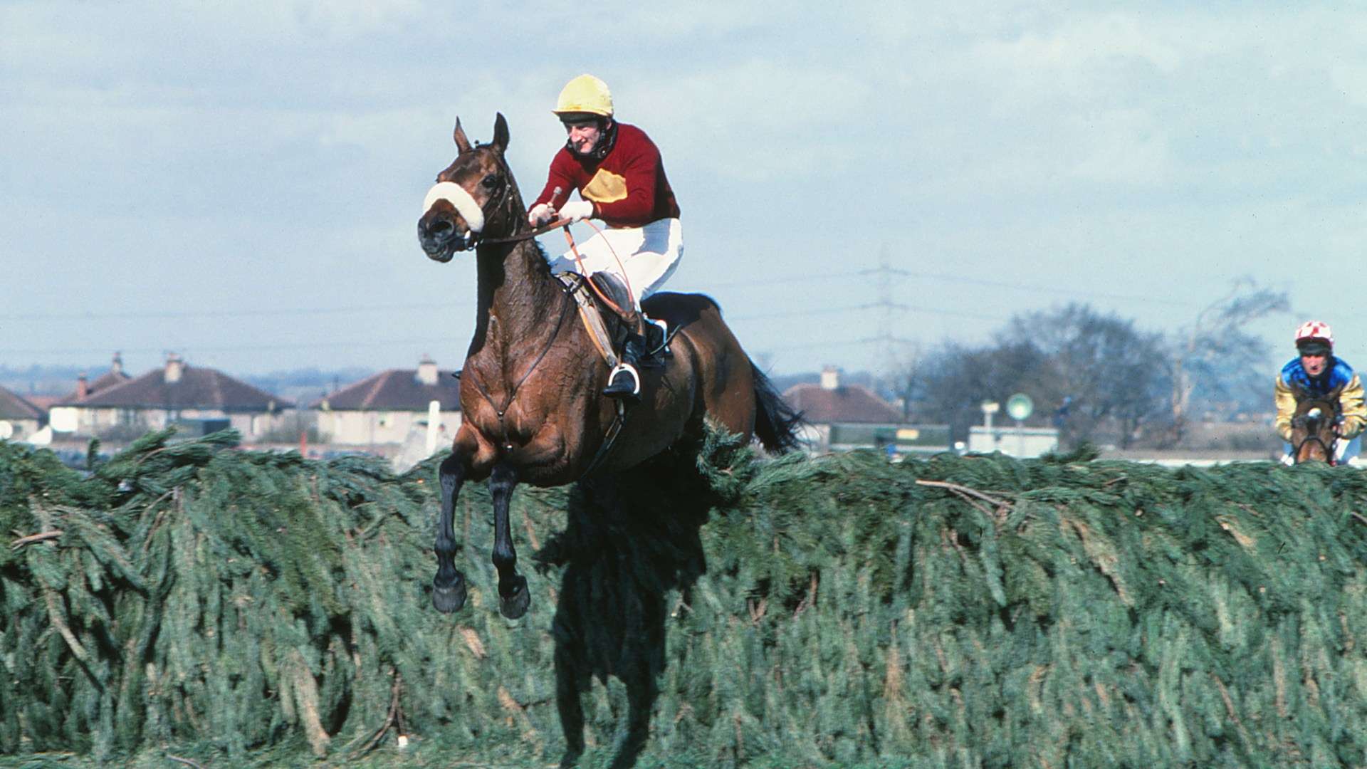 Huge collection of hair from racehorses including Red Rum and Desert Orchid goes on sale for eye-watering price