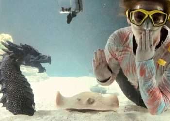 Pregnant stingray could be having SHARK’S ‘hybrid’ babies as aquarium thinks it’s solved ‘miraculous’ mystery