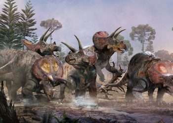 Mystery grave of five giant triceratops ‘buried in same spot’ found as scientists reveal tragic way they died