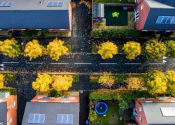 Single family homes developers: Highest rated by UK residents