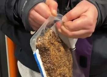 The moment passengers are left disgusted after person opens worst possible meal on the train & eats it with BARE HANDS