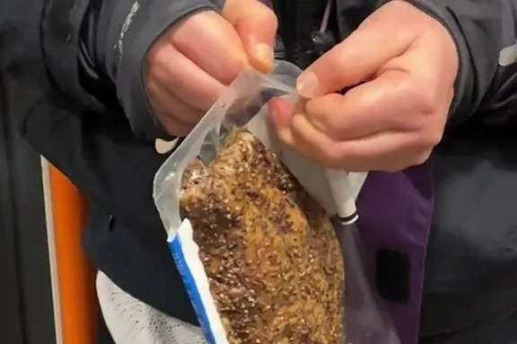 The moment passengers are left disgusted after person opens worst possible meal on the train & eats it with BARE HANDS