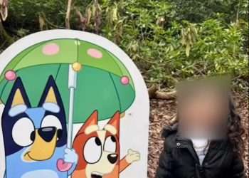 ‘Our daughter was in tears’, parents fume after ‘disgraceful’ Bluey event with ‘100-metre queue’ and cardboard cutouts