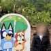 ‘Our daughter was in tears’, parents fume after ‘disgraceful’ Bluey event with ‘100-metre queue’ and cardboard cutouts