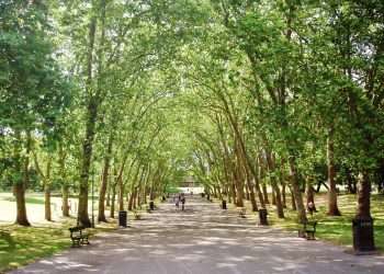 5 best places to live in Bromley