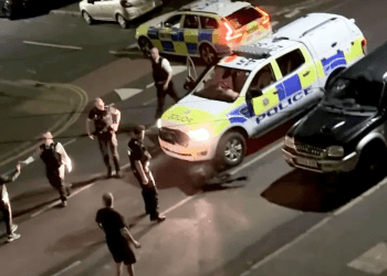 Cop who rammed car into cow is removed from frontline duties just hours after owner’s partner calls for him to be sacked