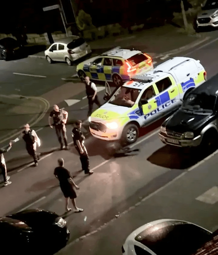 Cop who rammed car into cow is removed from frontline duties just hours after owner’s partner calls for him to be sacked