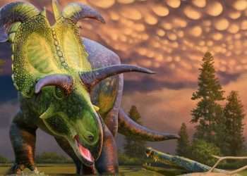 Fearsome new dinosaur discovered with FOUR colossal blade-like horns that roamed Earth 78 million years ago