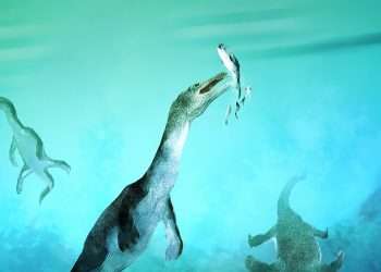 Giant 23ft polar sea beast savaged prey with razor teeth 246 million years ago and its remains just broke a world record