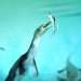 Giant 23ft polar sea beast savaged prey with razor teeth 246 million years ago and its remains just broke a world record