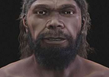 Is this the face of the world's FIRST MAN?  Scientists reveal 'strong & serene' likeness of human from 300,000 years ago