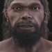 Is this the face of the world's FIRST MAN? Scientists reveal 'strong & serene' likeness of human from 300,000 years ago