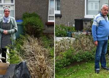 My neighbour ‘ripped up hedge’ as he claimed ‘it’s blocking our driveway’ – I feel council’s shunning me & need answers