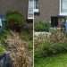 My neighbour ‘ripped up hedge’ as he claimed ‘it’s blocking our driveway’ – I feel council’s shunning me & need answers