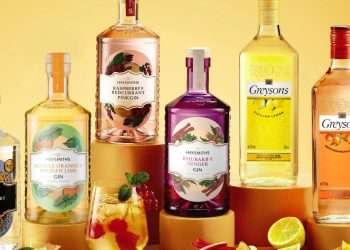 You can try Aldi’s best gins for FREE this summer… how to bag blackcurrant, lemon & orange before they launch in stores