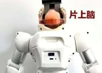China builds robot with lab-grown HUMAN BRAIN dubbed ‘Organoid’ in Frankenstein experiment to create ‘hybrid machines’