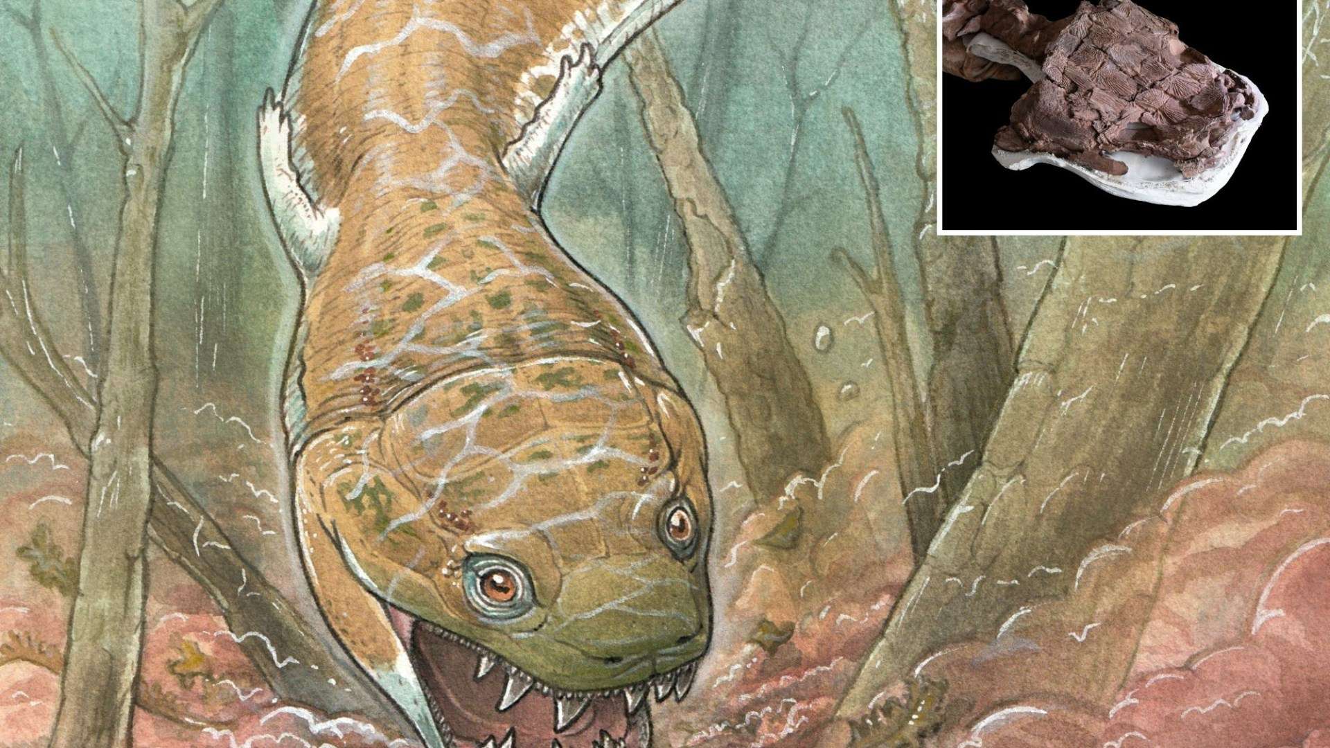 Giant swamp beast that existed before dinosaurs is discovered with a 2-foot long toilet seat-shaped head to suck in prey