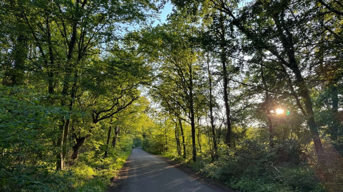 The new UK road trip with immense beaches, windmills and cute villages