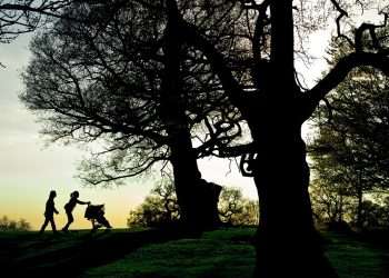 Top 10 safest places to live in London