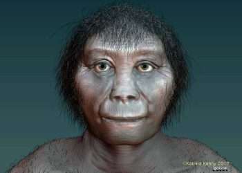 Bones of mysterious HOBBITS that roamed paradise island 700,000 years ago are found…& they're smaller than first thought