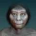 Bones of mysterious HOBBITS that roamed paradise island 700,000 years ago are found…& they're smaller than first thought