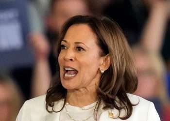 Moment Kamala Harris claps back at anti-Israel protesters interrupting rally in throwback to viral 2020 VP debate