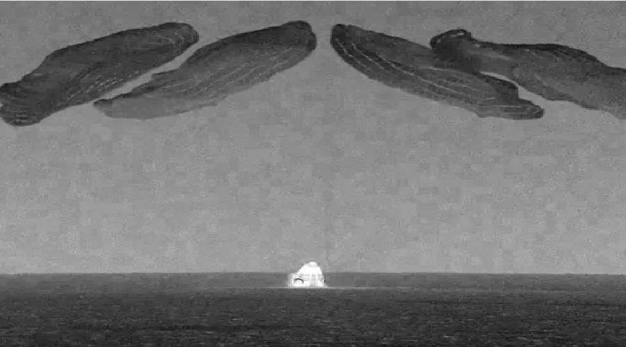 Musk's space mission successful, 4 astronauts return to Earth, Dragon spacecraft lands in water