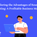 Exploring the Advantages of Reseller Hosting: A Profitable Business Model
