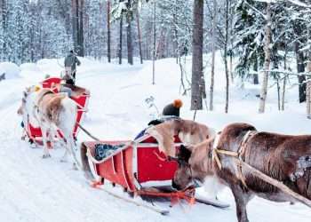 I returned to Lapland after 24 years and found something I had lost