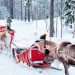 I returned to Lapland after 24 years and found something I had lost