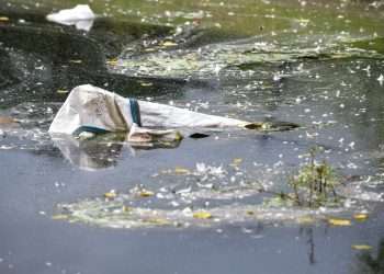 Alberto Costa: ‘My bill will tackle microplastics and protect our rivers’