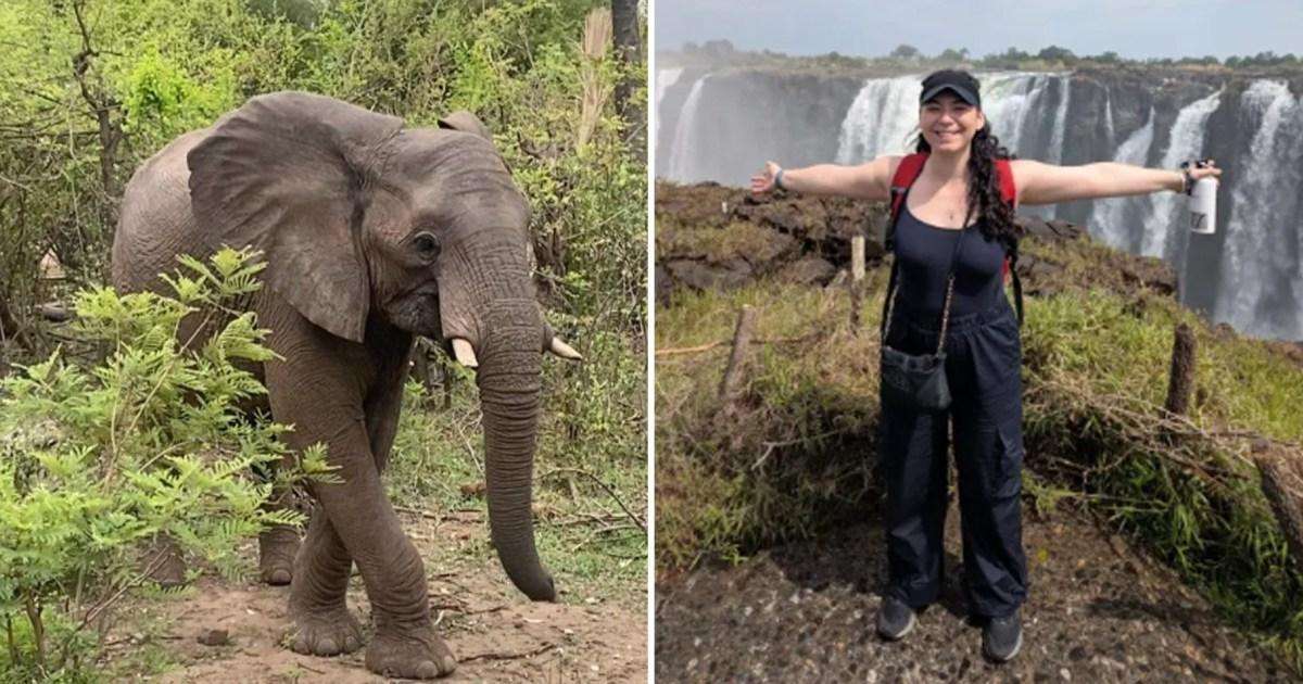 My first safari holiday was as magical as it looks in the movies