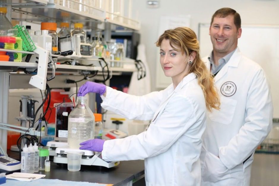 UK’s Loyal Hound Secures 1 Million Pet Longevity Records to Build World’s Largest Life Research Database