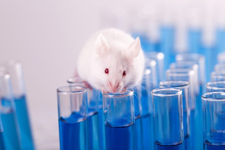 Irene Campbell: ‘It’s time to modernise research — that means leaving animals out of it’