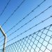 Ben Goldsborough: ‘Reform’s prison plan is a sick joke – and criminals are the ones laughing’