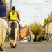 How to Drive Past Horses Safely on the Road